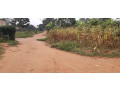 land-for-sale-in-bugesera-near-airport-of-rwanda-small-2