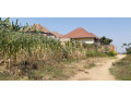 kimironko-zindiro-plots-for-sale-50m-small-3