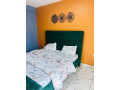nyarutarama-furnished-apartment-for-rent-small-2
