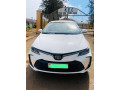 corolla-small-2