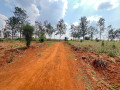 kanzenze-plots-for-sale-in-bugesera-small-3