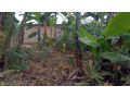 kigali-land-for-sale-in-nyamirambo-small-8