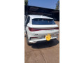 byd-small-2