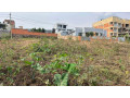 residential-plot-for-sale-near-the-road-and-good-neighbors-small-4