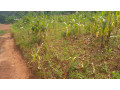 kigali-plot-for-sale-in-gahanga-kicukiro-small-5