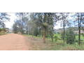 nyarutarama-prime-residential-plots-for-sale-small-6