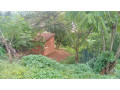 kigali-land-for-sale-in-nyamirambo-small-3