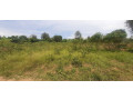 residential-plot-for-sale-in-shyorongi-near-main-road-on-top-mountian-small-2