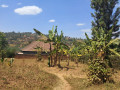 rebero-bisambu-residential-plot-for-sale-22million-small-0