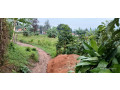 plot-for-sale-in-kinyina-small-2