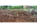 property-for-sale-in-masaka-small-3