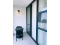 remera-very-nice-fully-furnished-apartments-for-rent-in-best-neighborhood-small-7