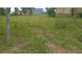 land-for-sale-in-batsinda-kagugu-small-4