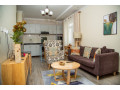 bere-110-lsa-kibagabaga-very-nice-fully-furnished-apartment-is-available-for-rent-small-3
