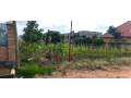 gasogi-residential-plot-for-sale-65million-small-1