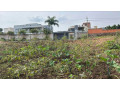 residential-plot-for-sale-near-the-road-and-good-neighbors-small-1