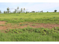 land-for-sale-in-bugesera-near-airport-of-rwanda-small-2