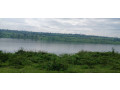 gatsibo-muhazi-land-for-sale-small-1