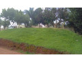 kigali-land-for-sale-in-rebero-near-heavens-garden-small-6