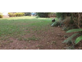 furnished-house-available-for-rent-at-kiyovu-small-2