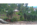 land-for-sale-small-2