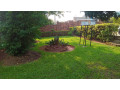 kigali-house-for-sale-in-remera-small-0