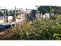 remera-residential-plot-for-sale-600million-small-0