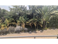 gacuriro-furnished-house-for-rent-in-kigali-small-7