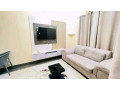1bedroom-fully-furnished-apartments-for-rent-in-good-location-small-2