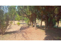 plot-for-sale-in-mt-kigali-small-10