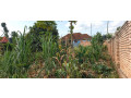 ikibanza-tugurisha-65m-gasogi-cyaruzinge-small-4