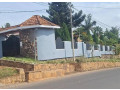 niboyi-small-1