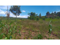 large-plot-for-sale-in-bugesera-small-9