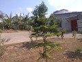 house-for-sale-at-kacyiru-small-11