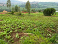 kigali-plot-for-sale-in-kinyinya-small-1