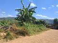 gisozi-residential-plot-for-sale-65million-small-0