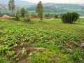 kigali-plot-for-sale-in-kinyinya-small-0