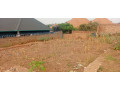 ikibanza-kigurishwa-mubirembo-turaneza-small-2