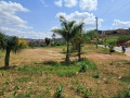 muyange-small-2