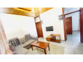 remera-furnished-apartment-for-rent-in-kigali-small-6