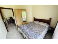 kiyovu-very-nice-furnished-apartments-for-rent-in-a-good-neighborhood-of-kigali-small-5