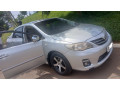 toyota-corolla-small-2