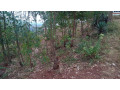 kigali-land-for-sale-in-rebero-rujugiro-small-9