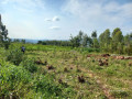 plot-for-sale-in-muyumbu-small-4