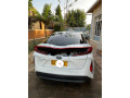 prius-small-2