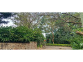 kigali-unfurnished-family-villa-available-for-rent-in-nyarutarama-small-7