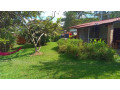 kiyovu-plot-for-sale-small-3