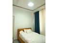 rb72-nyarutarama-beautiful-furnished-apartment-for-rent-small-10