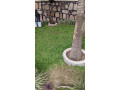 14-kibagabaga-very-nice-and-full-furnished-house-for-rent-small-2