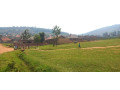 masizi-plot-for-sale-small-3